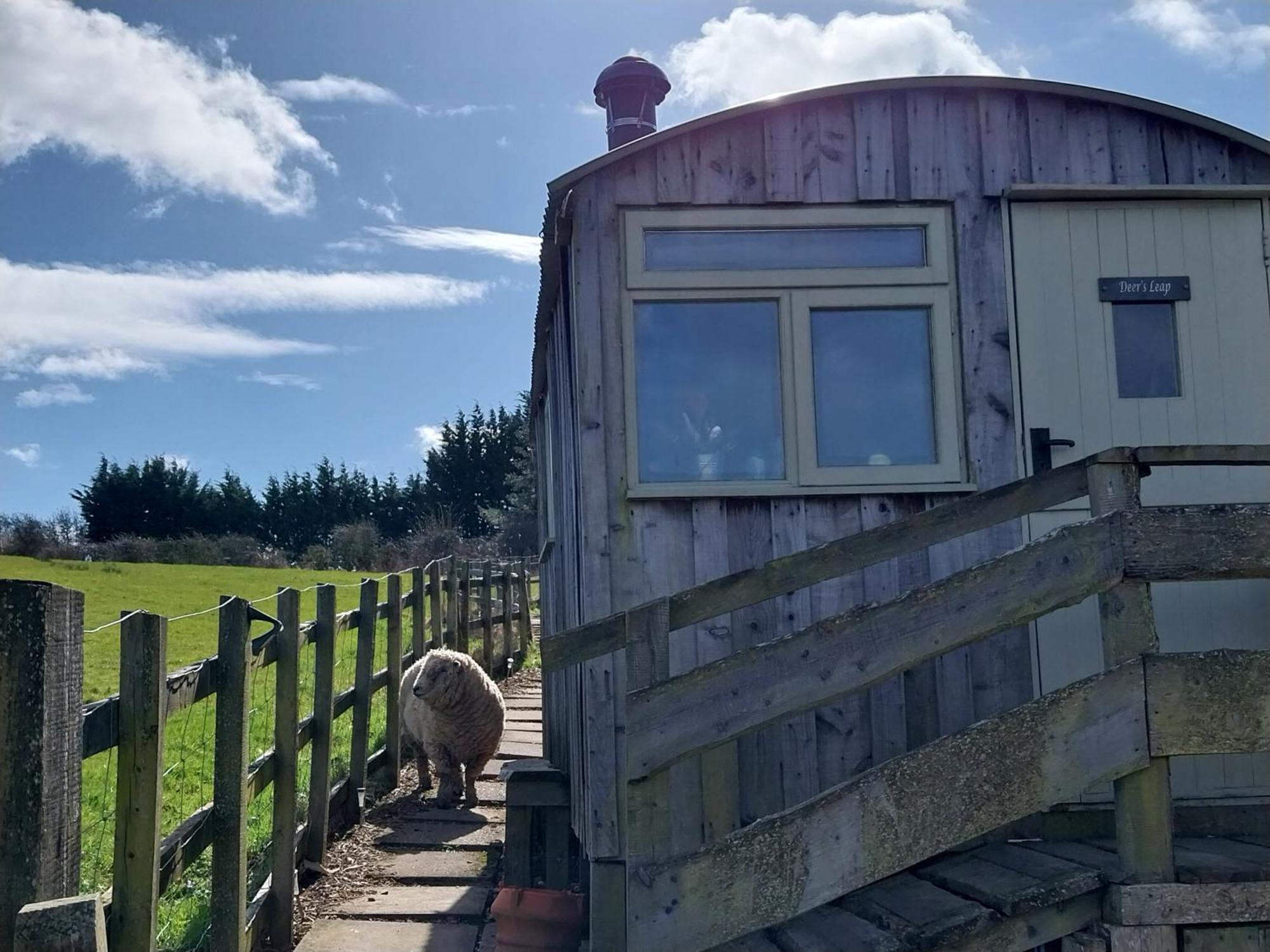Meadowbeck - Shepherd Huts Fylingdales Exteriör bild