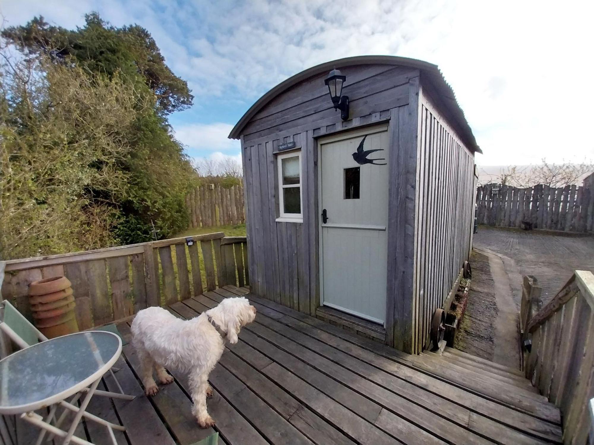 Meadowbeck - Shepherd Huts Fylingdales Exteriör bild